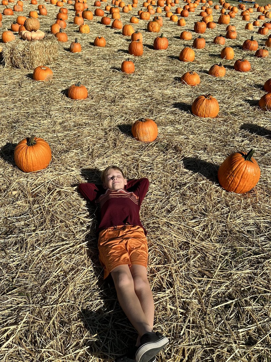 Shannon_Greene's tweet photo. Annual pumpkin patch visit ✔️ https://t.co/8z0sNI0KZz