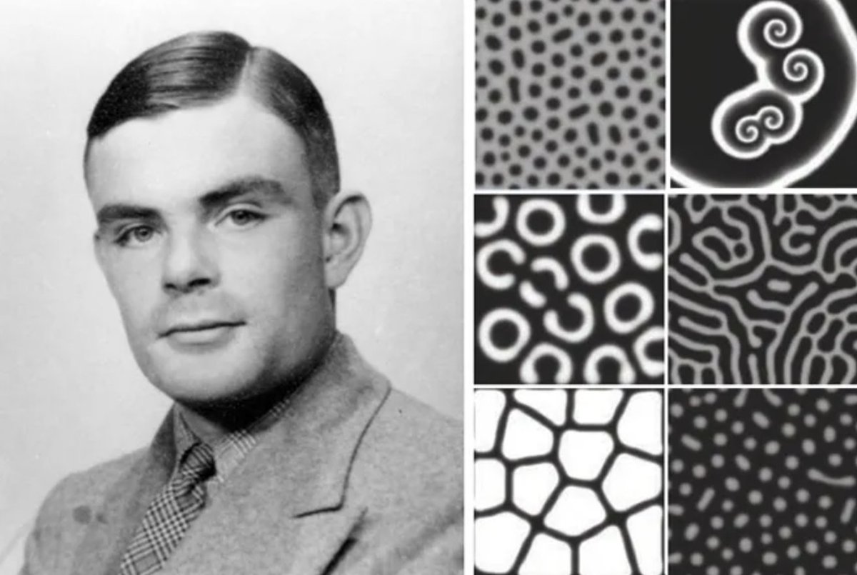 hipperaktiv's tweet image. Alan Turing's Patterns in Nature, and Beyond
#generativeart #alanturing #turingpatterns
wired.com/2011/02/turing…