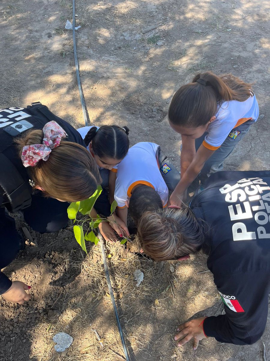 Erika Gutierrez Martinez tweet media