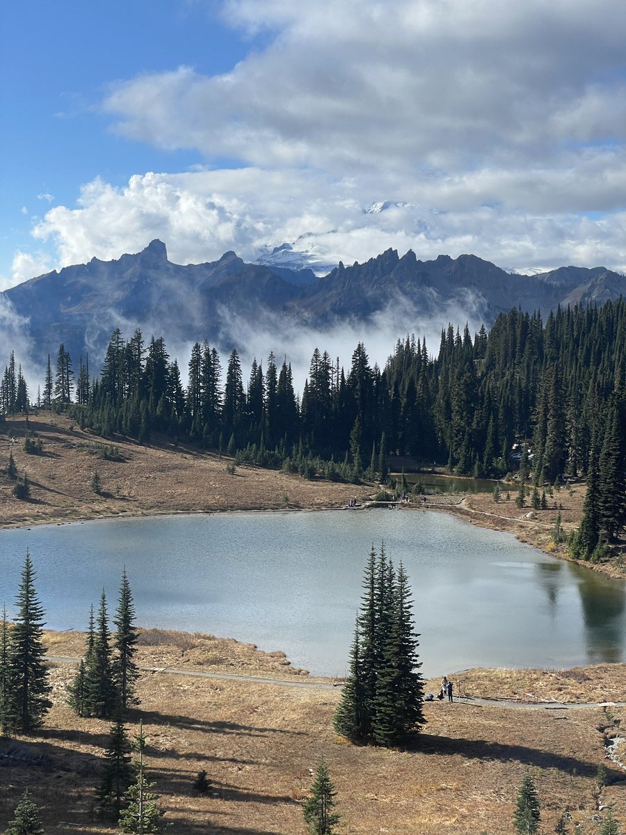 eli 🌊 tweet media