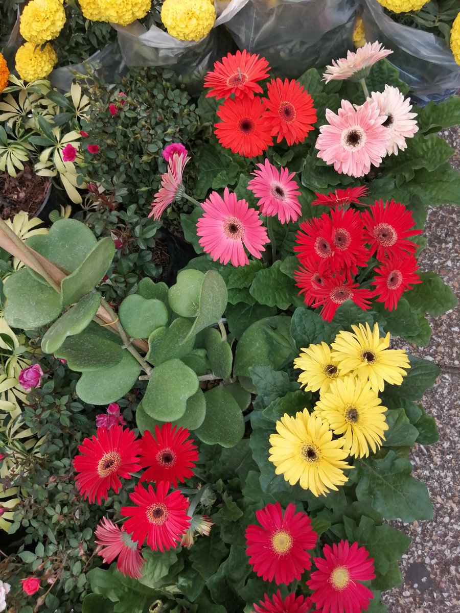 <a href="/pcabrera67/">Pedro Cabrera</a>