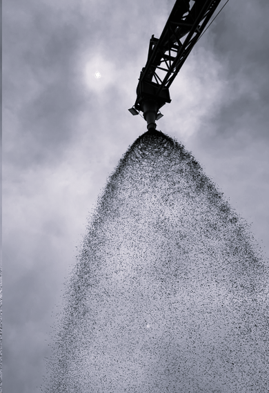 Sheffield Resources tweet media