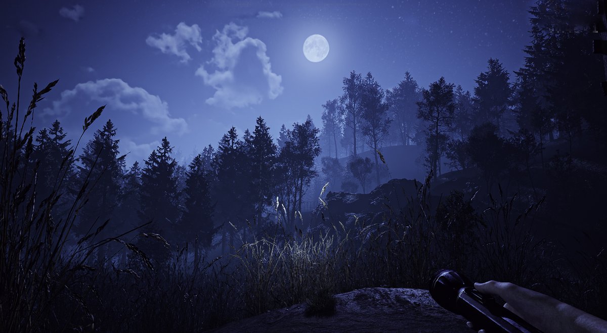 DkxSnake's tweet image. Slender Forest | #SlenderTA