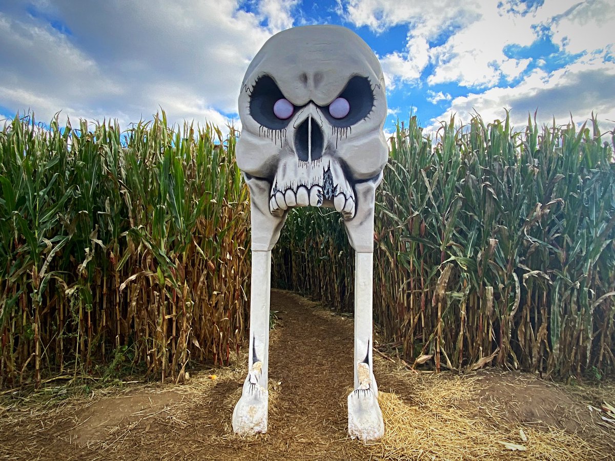 vegan_swemo's tweet image. Did a corn maze today! It was a lot of fun. I have no sense of direction and I lost the cheat sheet map they gave us within minutes. I would not survive in the wild. 😂 #fall #cornmaze #halloween