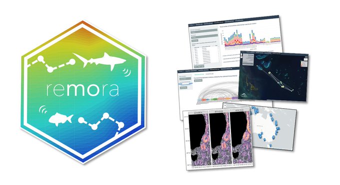 The {remora} R package enables robust quality control and interactive visualisation of acoustic telemetry datasets, as well as the rapid extraction and integration of oceanographic measurements with spatiotemporal ecological data. imos-animaltracking.github.io/remora/