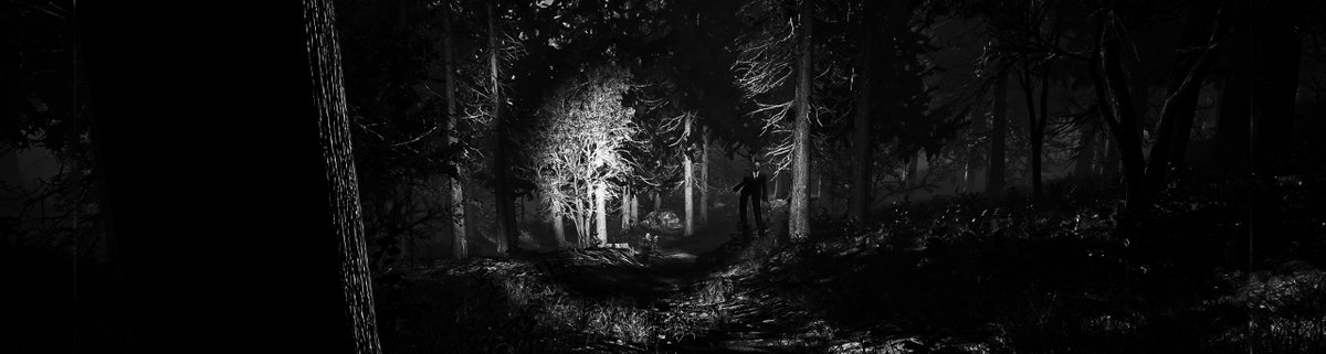 DkxSnake's tweet image. Slender Forest | #SlenderTA