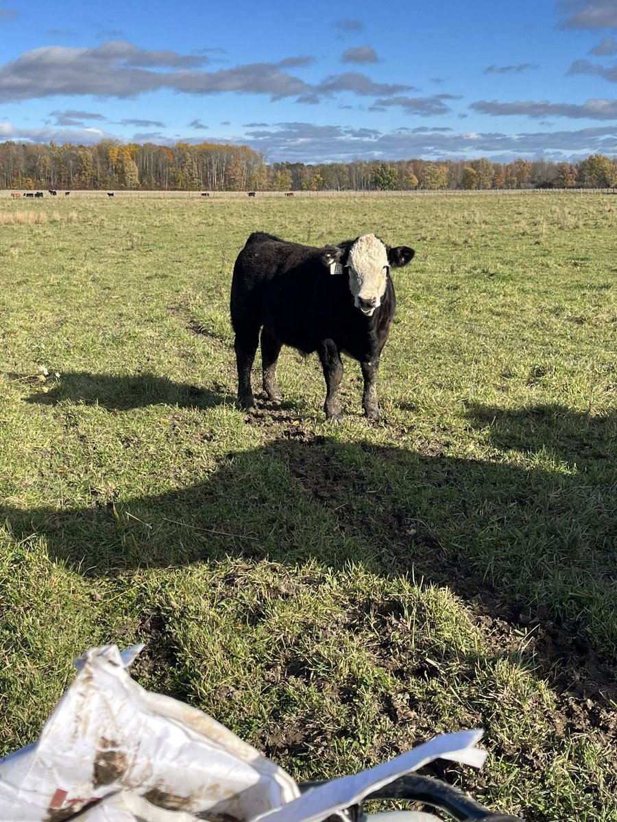 Scott MacDonald tweet media