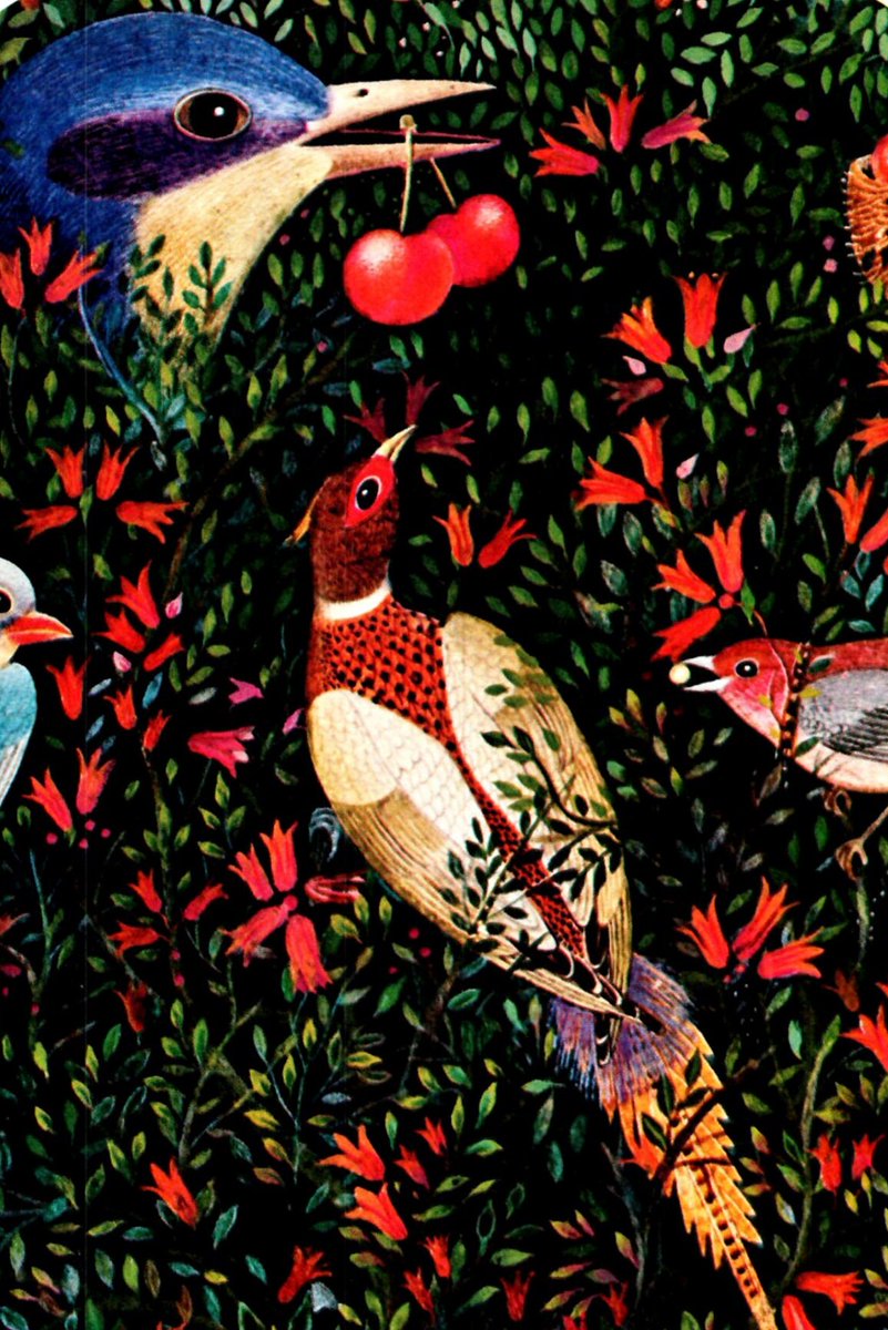 HudsonPulp's tweet image. Gervasio Gallardo Songbirds and pheasant Vintage art book page Glossy etsy.com/listing/125525…
 #ReadyToFrame #DecorativeArts