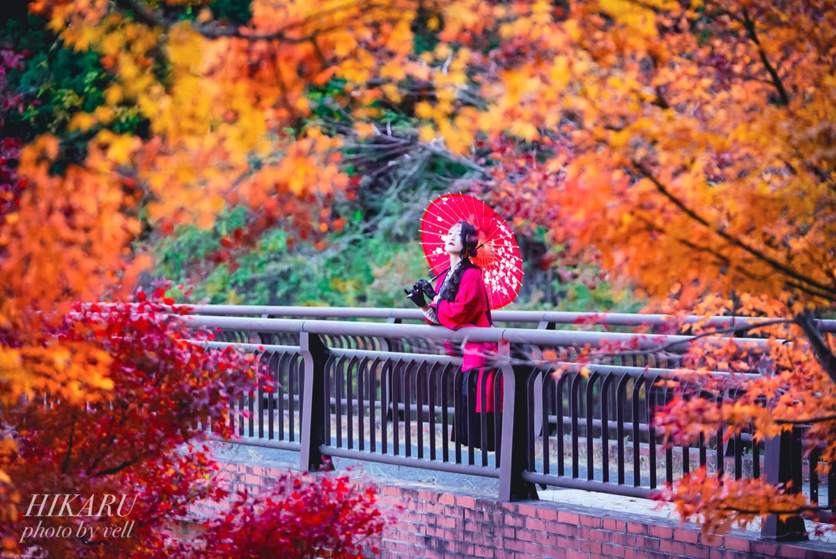 『fall leaves』🍁

#ポートレート #紅葉 #おはよう #portrait #portraitphotography #photography #autumn #fall #autumnleaves #fallleaves #goodmorning