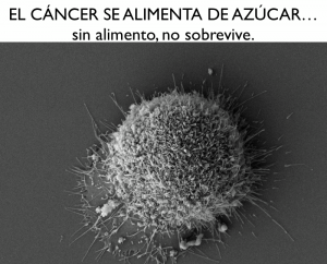 elzorrotacneno's tweet photo. Buenas tardes Carolina.
No te distraigas en nada. 
Concéntrate en eliminar la Cándida.
Este hongo ama el azúcar, no lo quiere, lo ama. Sin azúcar, se inactiva.
¿ Cómo lo eliminas? He publicado mas de 40 tips en los post, pero ahí van tres buenos:
- Coco mas orégano por las mañanas. Una cucharada de aceite de coco y una gota de aceite esencial de orégano.
- Infusión de canela con cúrcuma, después de las comidas.
-Tres gotas de aceite esencial de orégano en la ropa interior todos los días. 
NADA DE CARBOHIDRATOS REFINADOS.
En 20 días se inactivan.