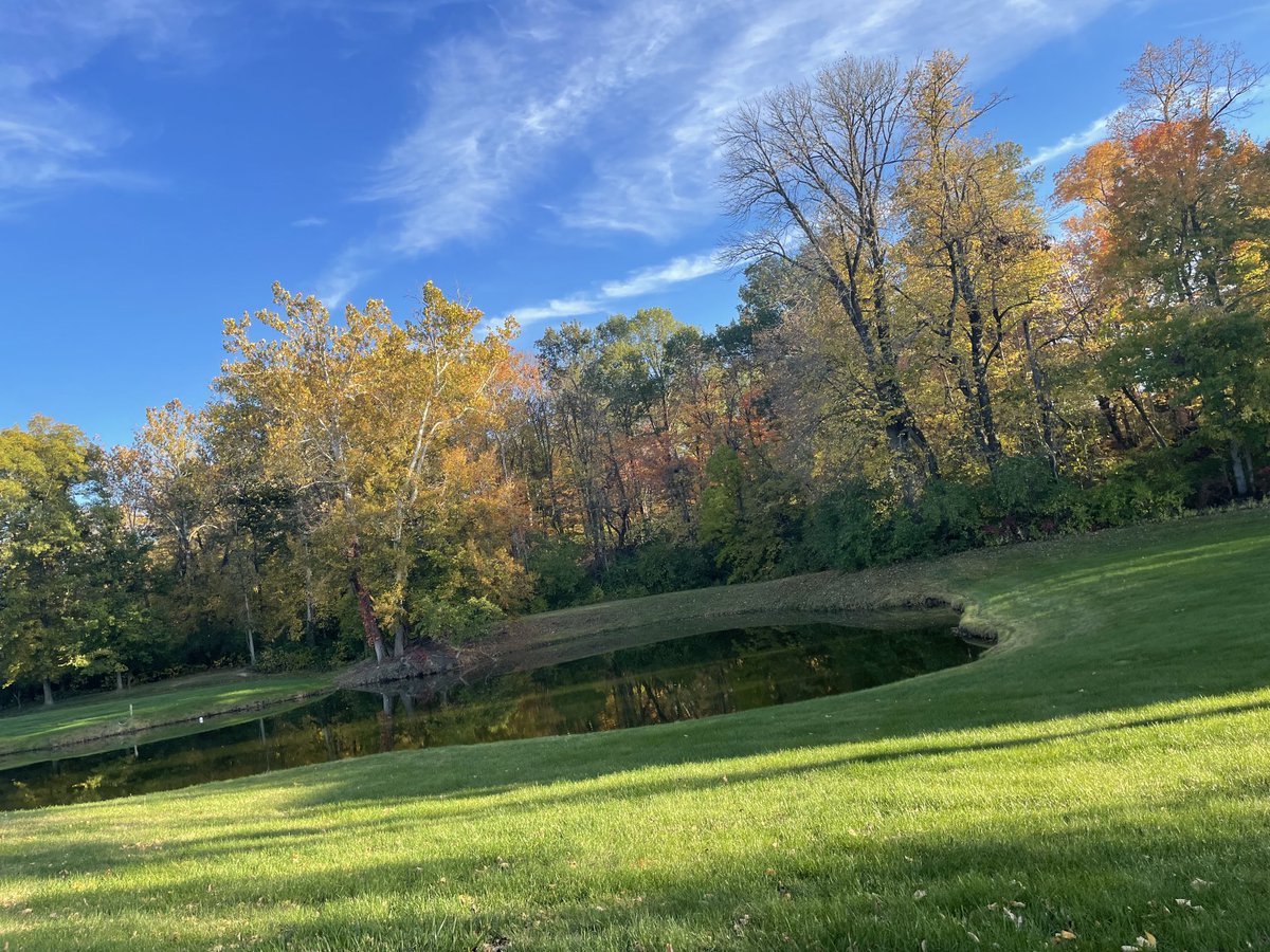 Kelly A. Andrews Ed. D. tweet media