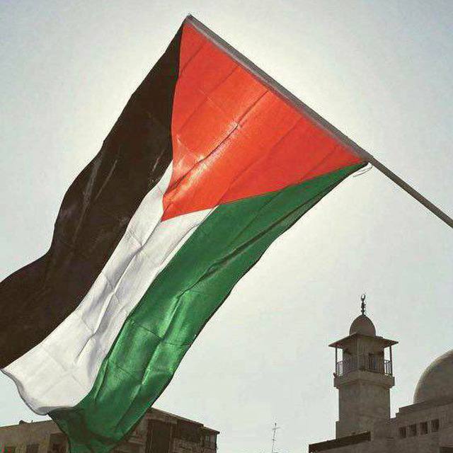 Freedom for Palestine 🇵🇸