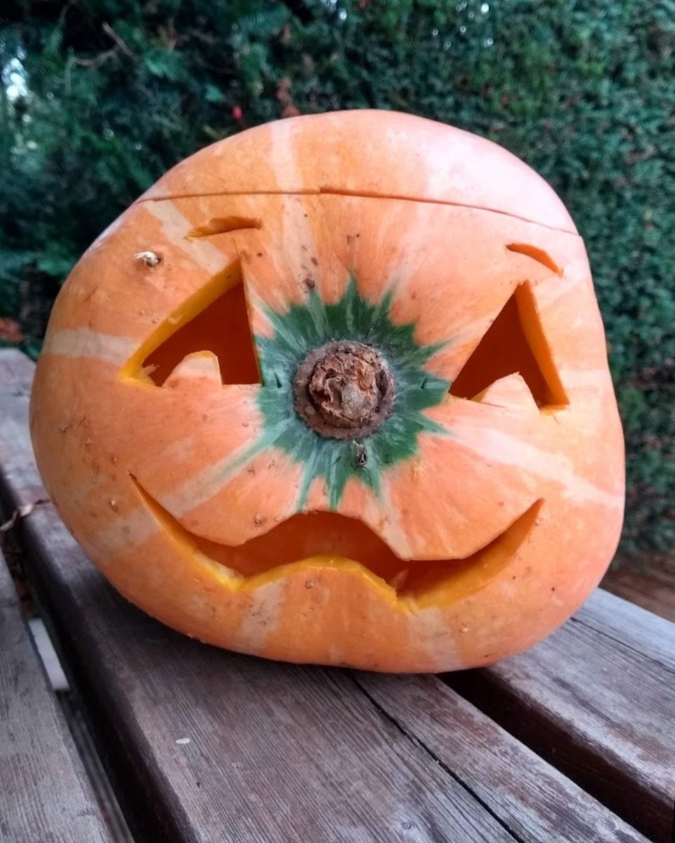 Mendmakecraft's tweet photo. Happy Halloween week, we're currently on our half-term break but we'll be back up an stitching and crafting at the Libraries from 31st Oct right up to and including 2nd Dec 🪡🧵🧶✂️ https://t.co/92GGKw5TL0