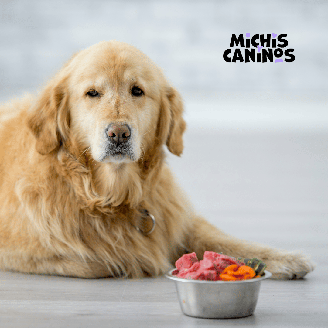 Michisycaninos's tweet photo. ¡Tu mascota se merece un capricho! Cambia las croquetas de siempre por rollitos de canela caseros: nutritivos, deliciosos y ¡aprobados para cachorros! Mima a tu mejor amigo con estas 5 delicias para perros.
#HomemadeDogTreats | #MichisyCaninos | #PetSnack https://t.co/mScAL90DL3