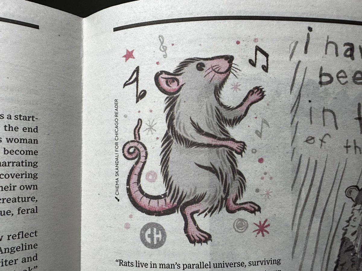 chemaskandal's tweet photo. ππππππ
Some #rats for The @Chicago_Reader #ChicagoReader
Thanks for the inspiration #McPrianverdrena https://t.co/J3xt2pF78R