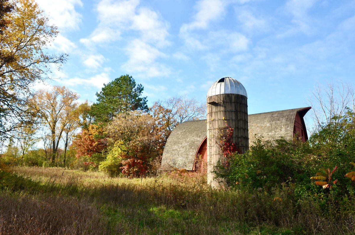 Ignisfox1's tweet image. Nice walk this morning to see some colors
#mnfall #fallcolors #minnesota #oldbarn #mushrooms #fallwalk #sundaystroll