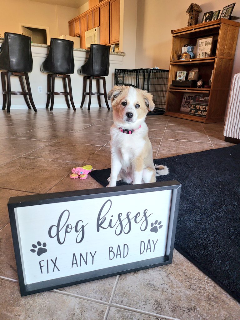 Loathe** tweet media