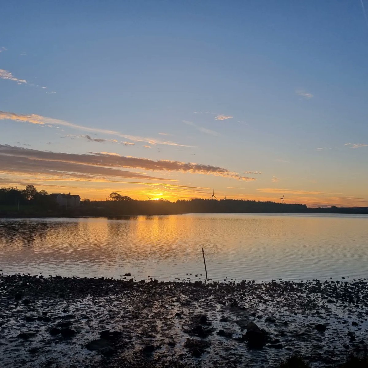 Aileen O'Meara tweet media