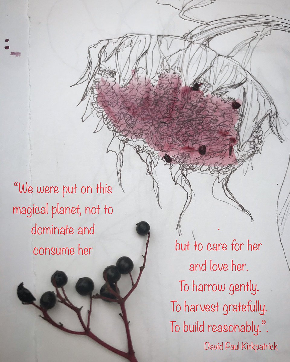 Lynn Fraser tweet media