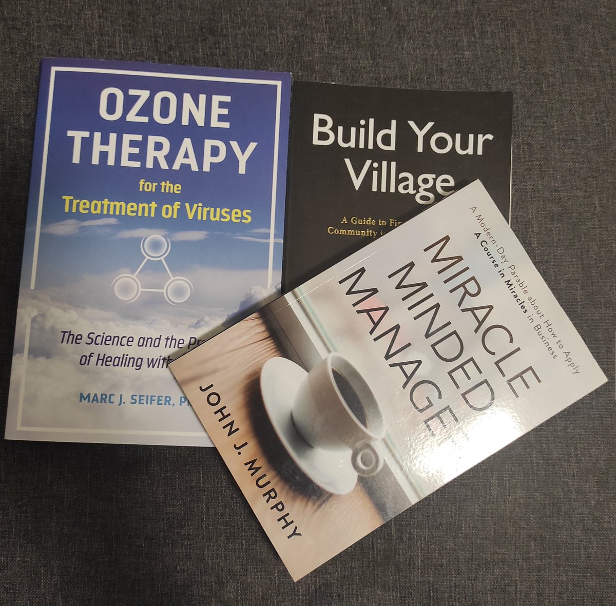 Some free books By American publishers! Almost all the American publishers in Frankfurt Bookfair left their books for interested readers! Unfortunately, I did not have any luggage with me! America is America; I must acknowledge it!