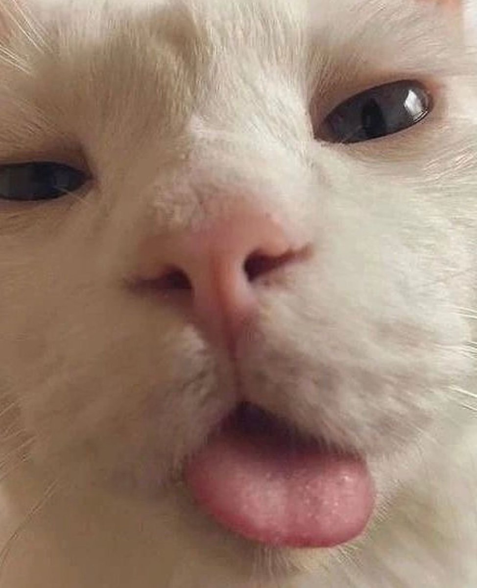 blessing your timeline