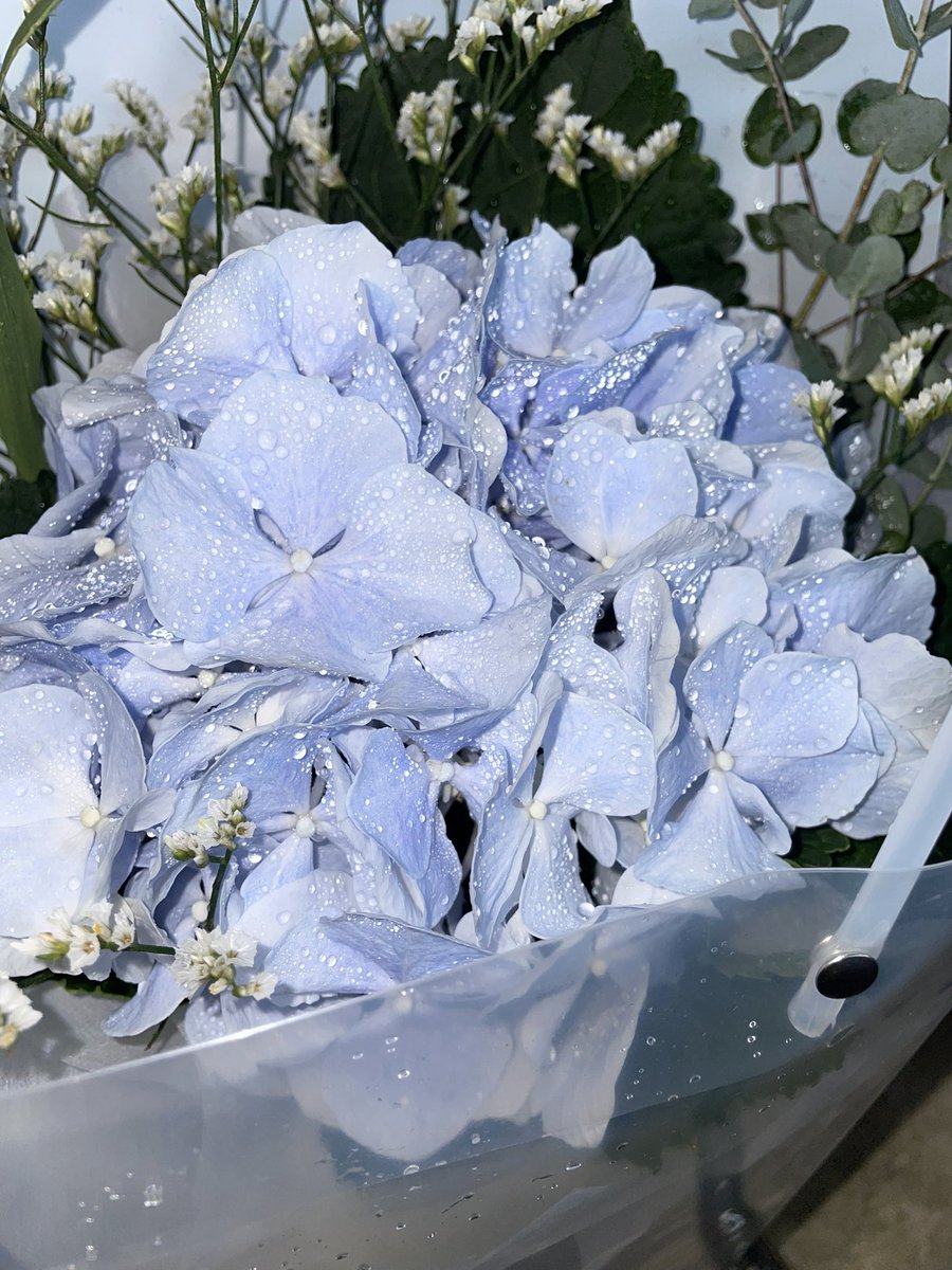 970915jo's tweet photo. 요즘 꽃값 왜케 비싸? 사랑해 https://t.co/4Xz4g9P3nd