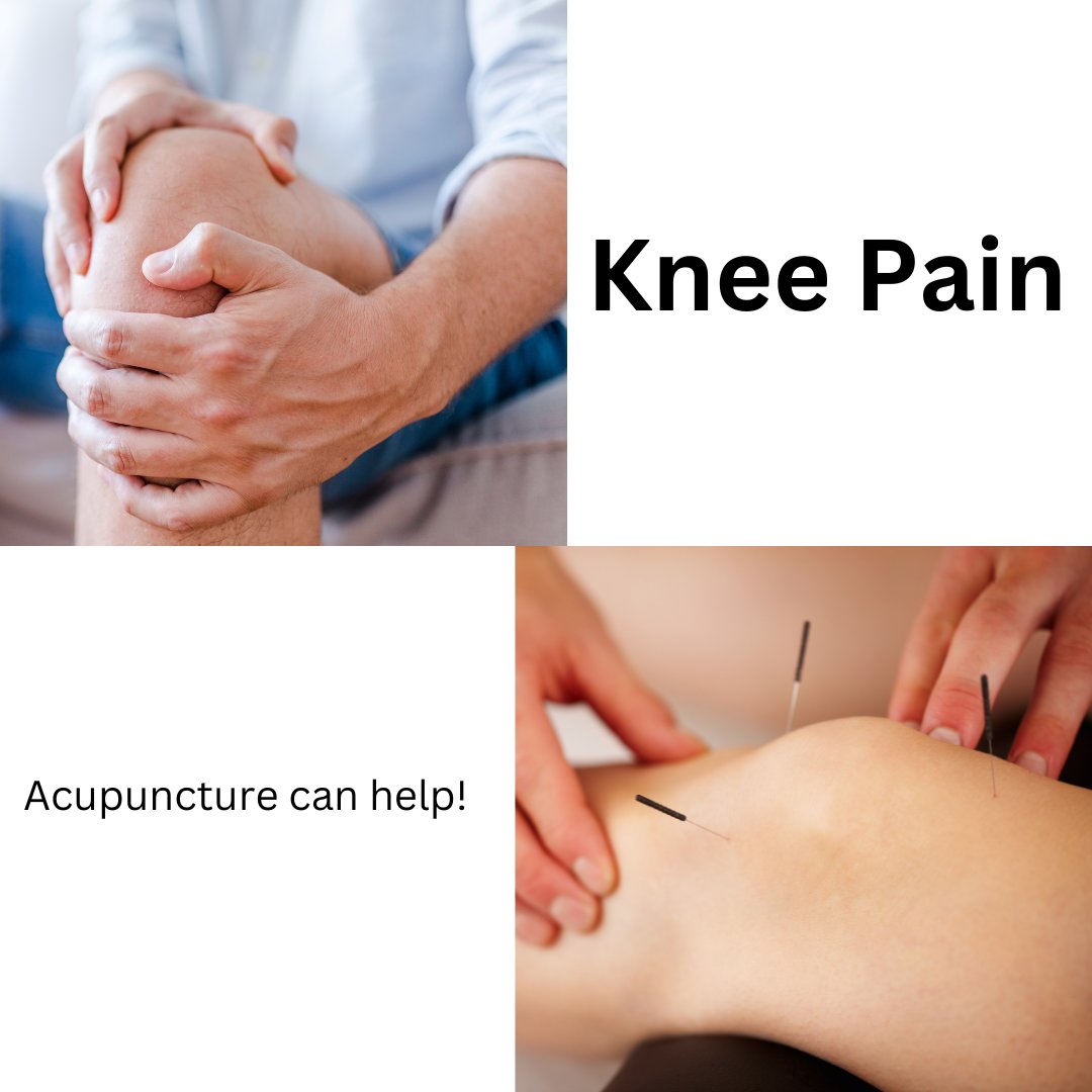 shane10586's tweet photo. Relief pain with Acupuncture

#kneepaintreatment #kneepainsolutions #kneepainrelief #kneepainsucks #KneePainGone #kneepainaid #kneepains #KneePainRelief #painreliefspecialist #painreliefoptions #painrelief #AcupunctureBenefits #acupunctureclinic #acupuncturetreatment https://t.co/Pbcu4ImK2q