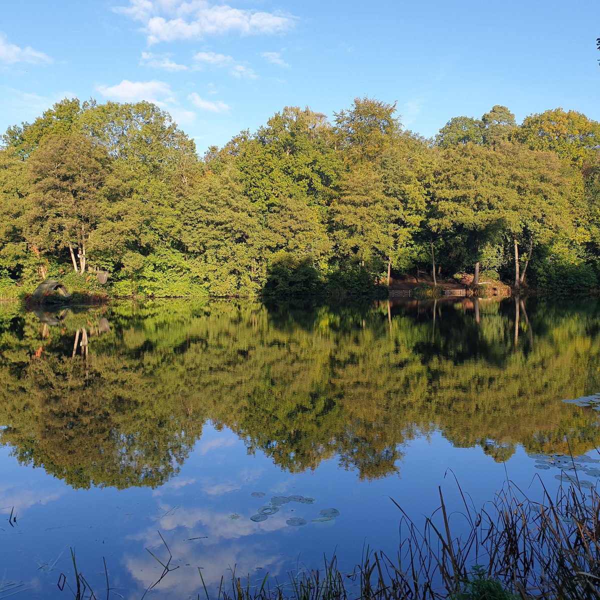 Mark Wardell tweet media