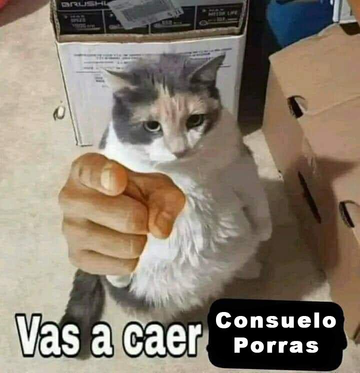 foxxworldd's tweet photo. Algún día, pero sé que llegará. https://t.co/86dMHamTqb