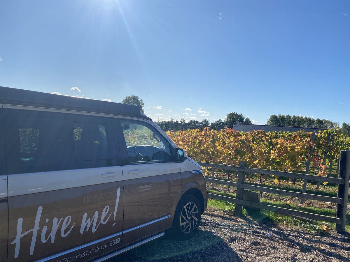 Wendy Randall tweet media