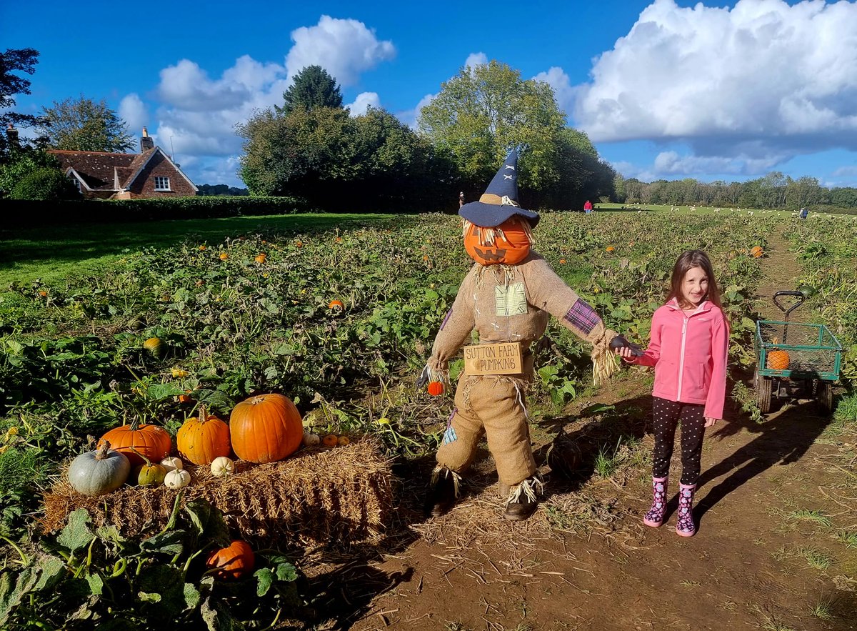 lucyabeavis's tweet photo. Pumpkin picking 🎃👻😀 #suttonfarm #verwood https://t.co/TxGMHAZqq1