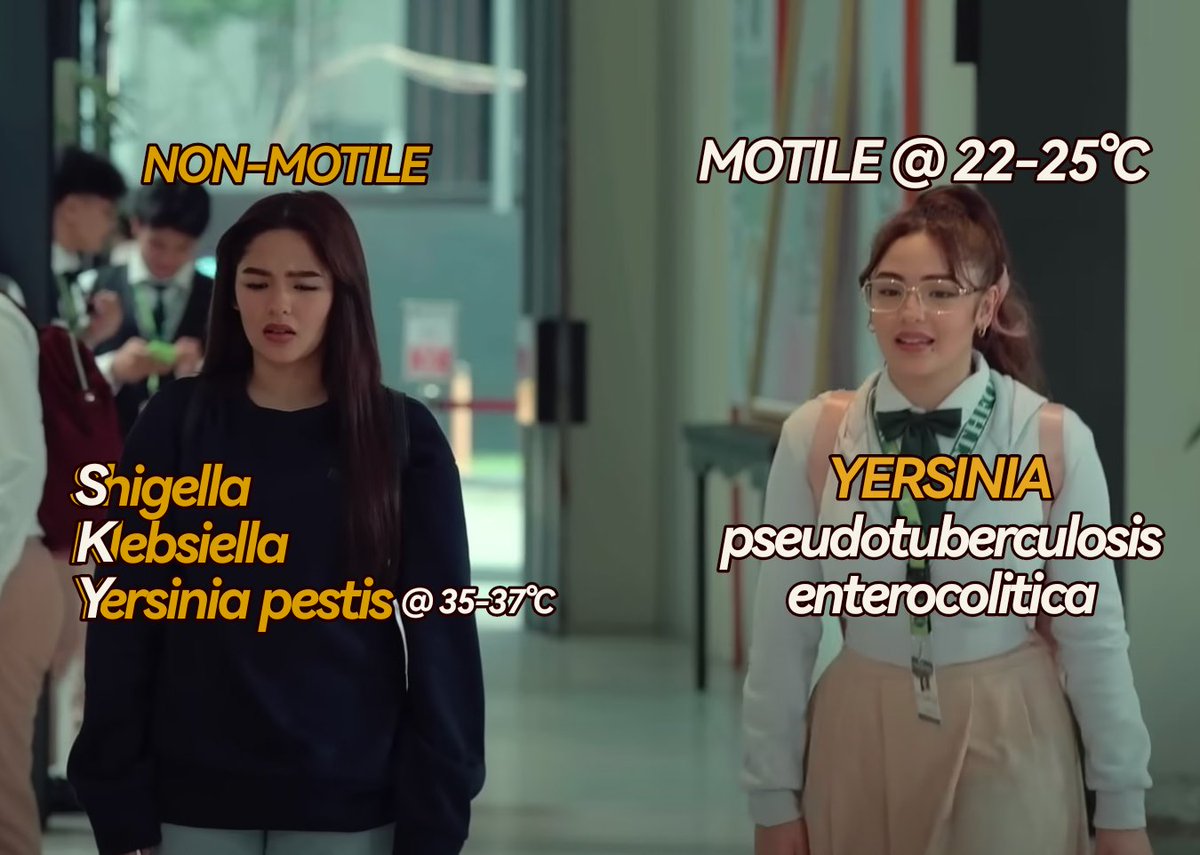 macdump_'s tweet image. kung nanonood ka neto, edi bazinga?? 🥲