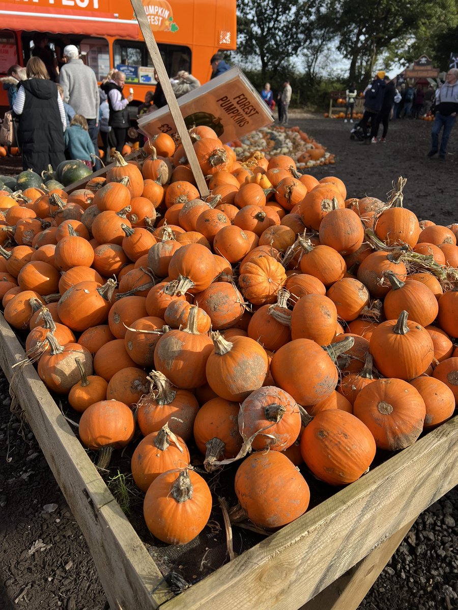 October half term is here 🙌🏻🎃🧡

<a href="/MrTs_NQTs/">Mr T's NQT/ECT support 🙋🏻‍♂️</a>
