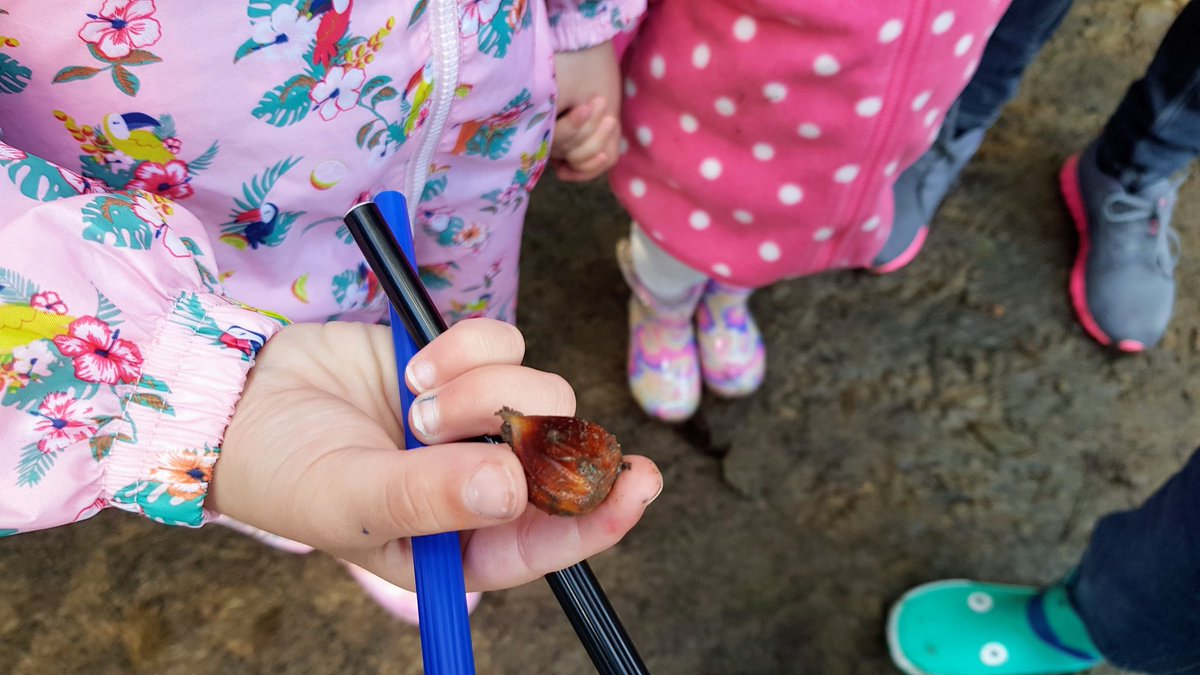 clair2401's tweet photo. We met up with Thomas's school friend today to do the homework. Alice came along and was a great babysitter to the little one. Please can all homework be like this? 🤭 @ReceptionSav @StSaviourCE https://t.co/x1HbCq9XRK