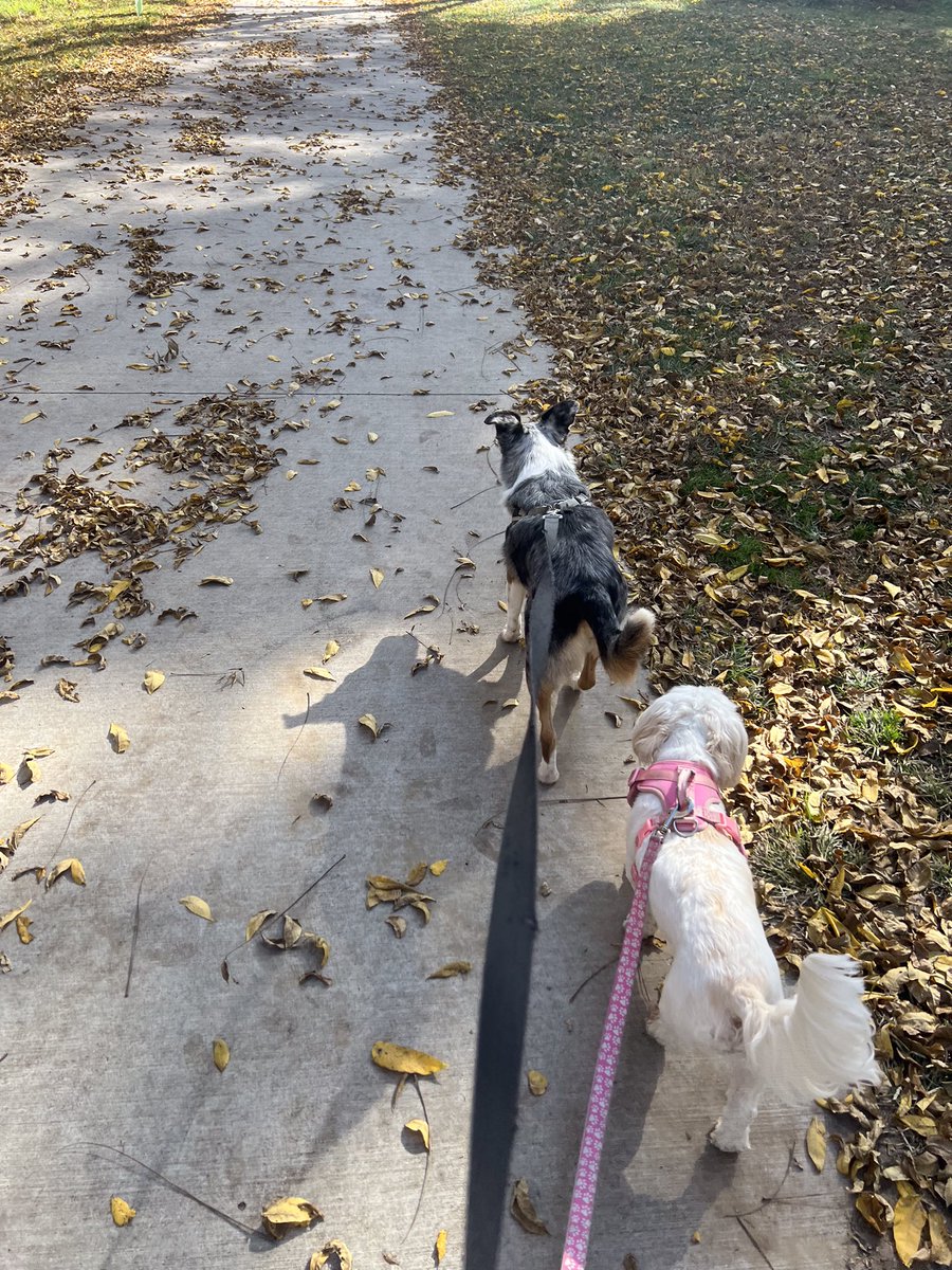 lautterback33's tweet image. Hello Sunday! Thank you @lake_cunningham for creating such a beautiful space in our community where we enjoy weekends walks and gorgeous scenery!