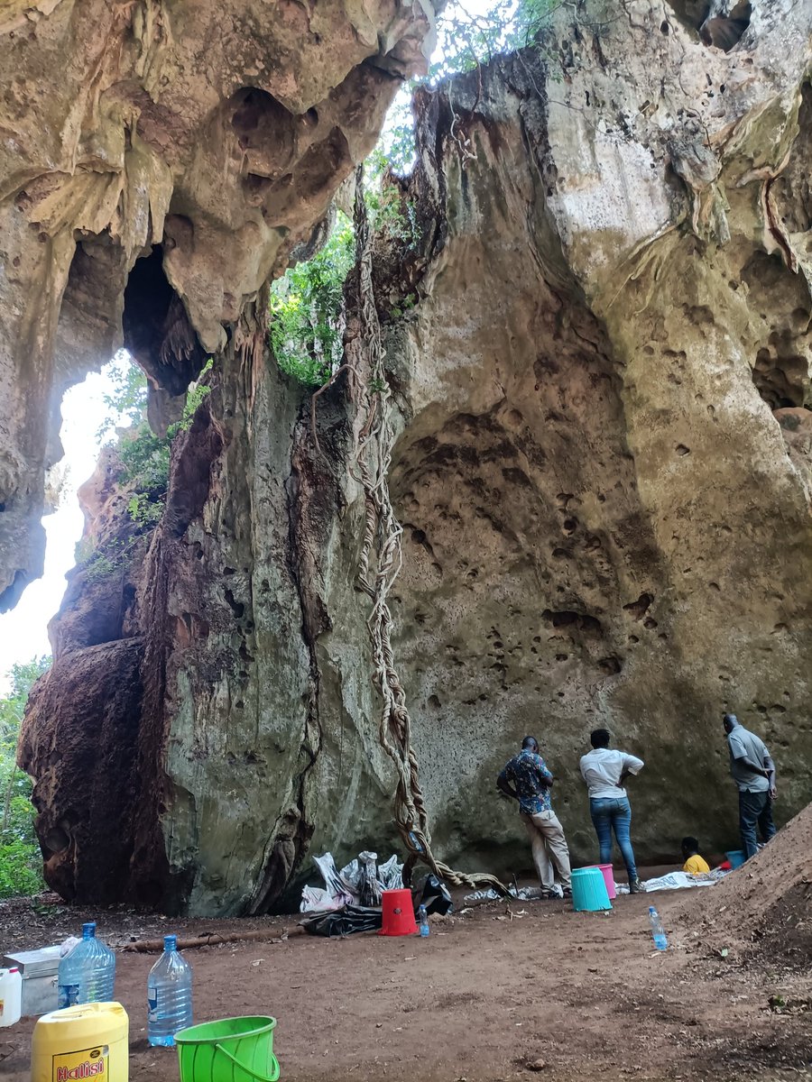 Panga ya Saidi is a dream place and, for me, a dream come true. So much to discover. So much future in this past. Thanks for letting me be part of it. @CENIEH #ICTSNews @endiema @MDPetraglia #Mtoto