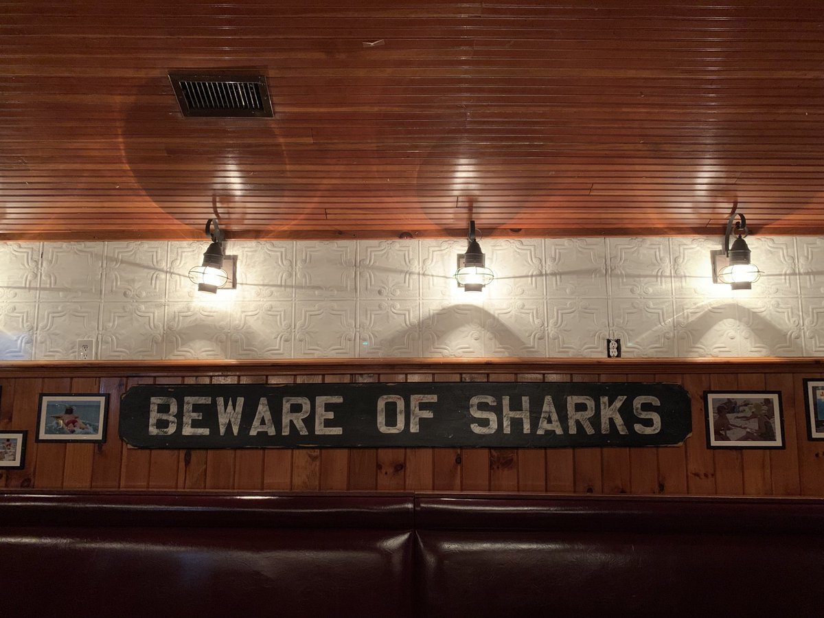 Elisabeth Lenckos tweet media