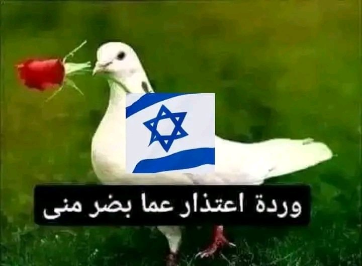 مقبوله يبن عمي