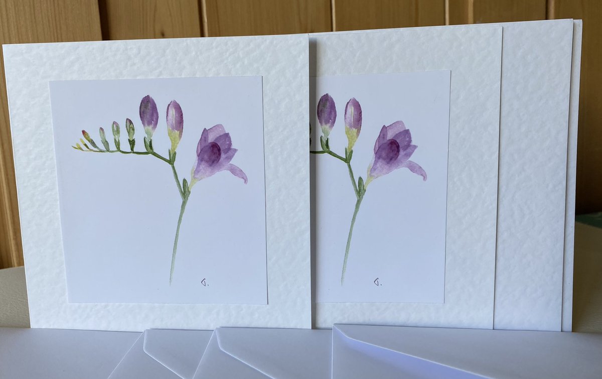 I’ve just published these pretty purple freesia watercolours in a new square format card- hope you like 💜 etsy.com/uk/listing/259… #shopindie #UKCraftersHour #MHHSBD