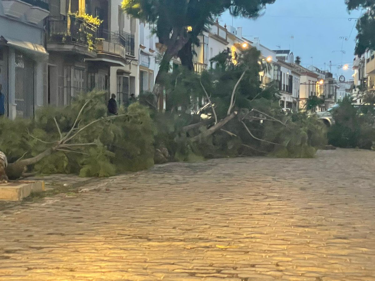 ArahalTN's tweet photo. Vecinos de Arahal nos hacen llegar imágenes de las incidencias que está dejando el fuerte viento a su paso por la localidad (2ª parte).

Tengan mucha precaución y no salgan de casa, salvo que sea estrictamente necesario. https://t.co/L86VCZ4X0s
