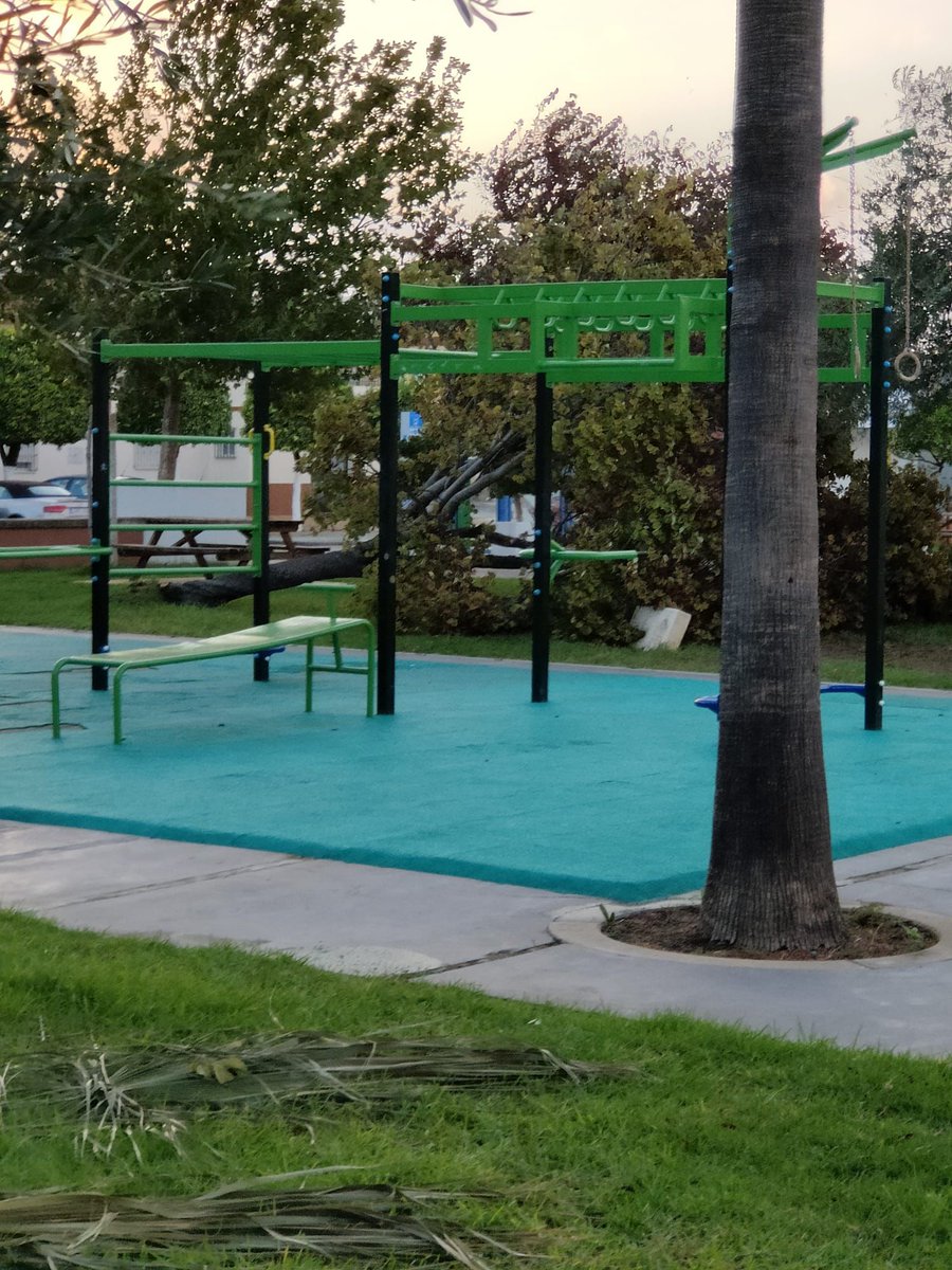 ArahalTN's tweet photo. Vecinos de Arahal nos hacen llegar imágenes de las incidencias que está dejando el fuerte viento a su paso por la localidad (2ª parte).

Tengan mucha precaución y no salgan de casa, salvo que sea estrictamente necesario. https://t.co/L86VCZ4X0s