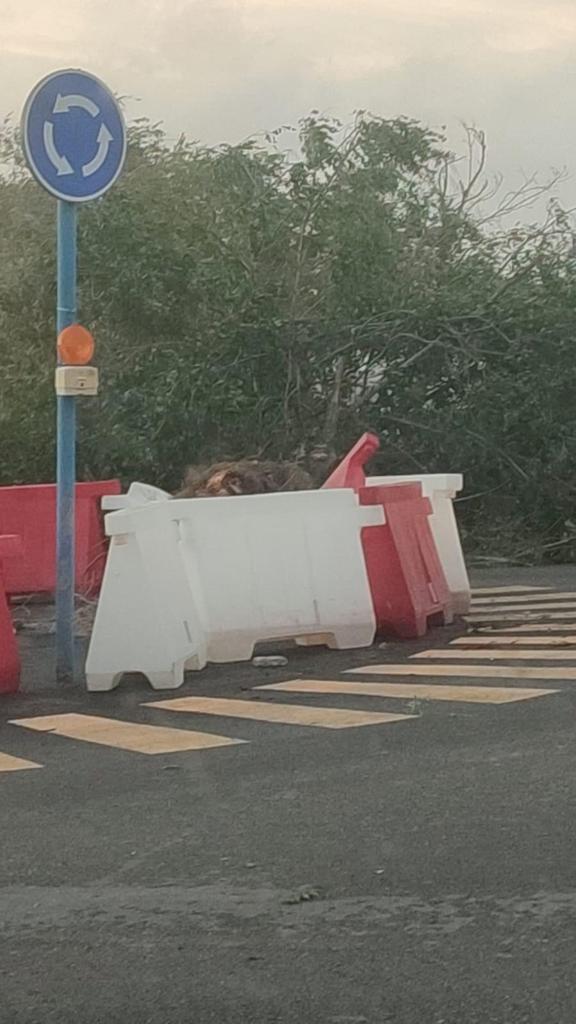 ArahalTN's tweet photo. Vecinos de Arahal nos hacen llegar imágenes de las incidencias que está dejando el fuerte viento a su paso por la localidad (3ª parte).

Tengan mucha precaución y no salgan de casa, salvo que sea estrictamente necesario. https://t.co/Y9WzXTByKT