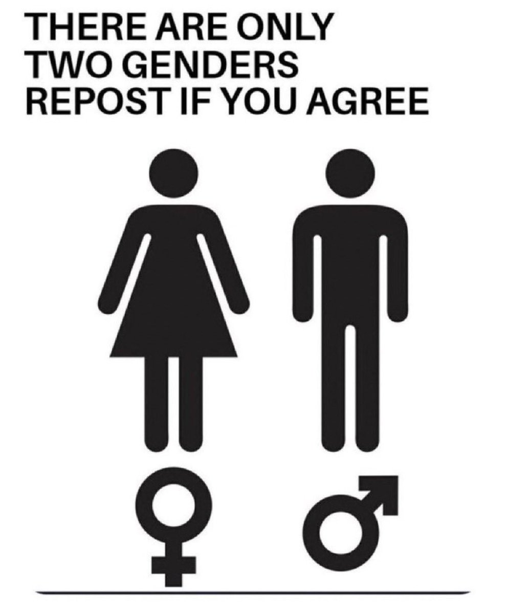 NufcEngland1966's tweet photo. Definitely  He/She that’s it https://t.co/Rqt0oetpJW