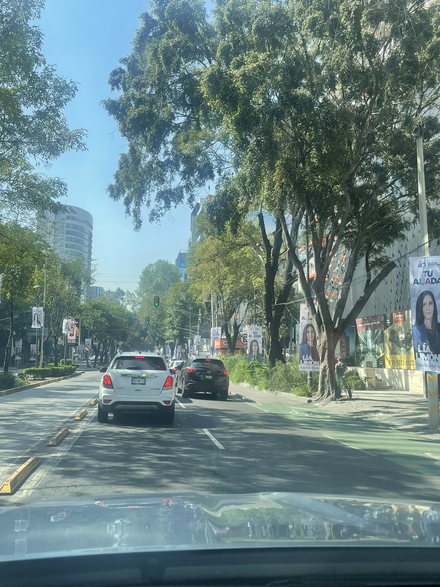 ¿Qué necesidad de llenar las calles con tanta basura <a href="/lialimon/">Lía Limón</a>? ¿Por qué seguir haciendo las cosas mal? Ojalá en tu informe hayas compartido cuántas toneladas de basura van a acabar en jardineras, calles y alcantarillas. Estas muy lejos de ser lo que necesitamos.