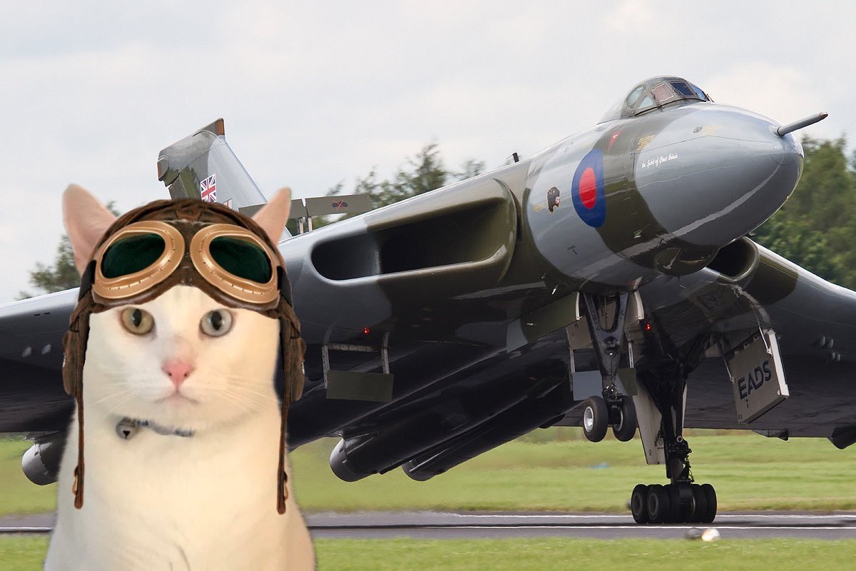 AngusMcPussPuss's tweet photo. Up and ready to fly #tributeflight #theaviators 🩵🤍 https://t.co/AOwXhUp8YP