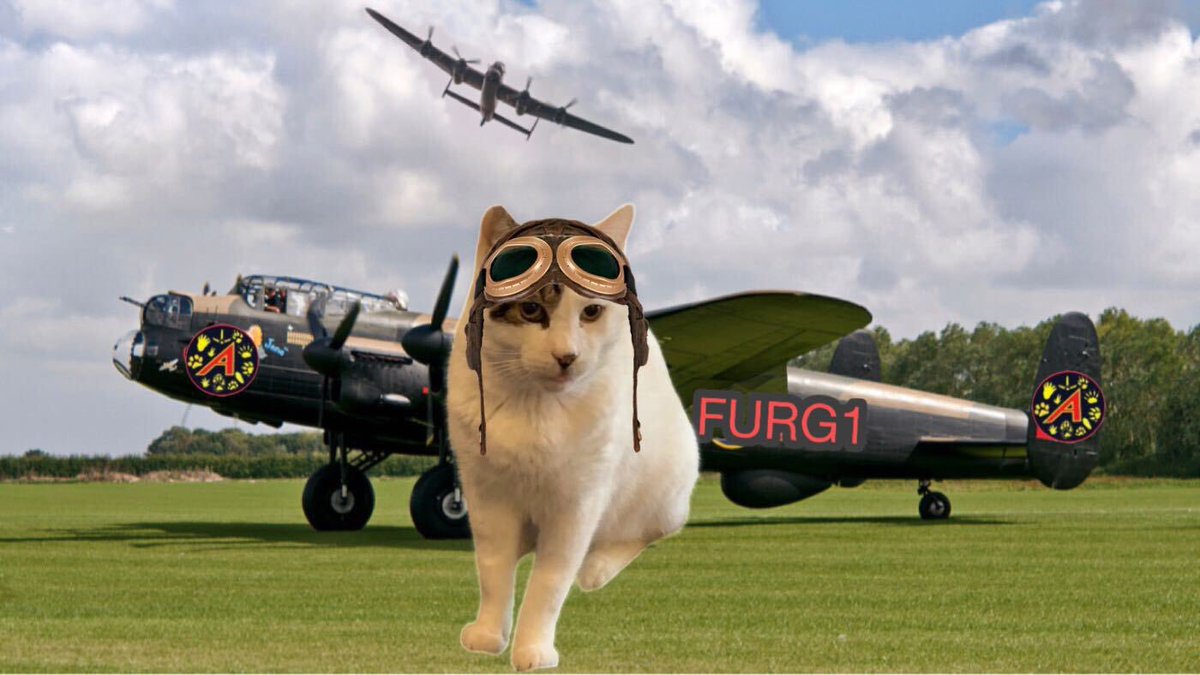 AngusMcPussPuss's tweet photo. Up and ready to fly #tributeflight #theaviators 🩵🤍 https://t.co/AOwXhUp8YP