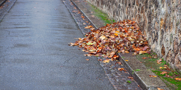 TickRepellent's tweet photo. Where is the tick? In that #leaf pile! Clear your yard of those colorful leaves this autumn, they are a favorite hiding place of ticks. Fall is prime time to be bitten by a #blackleggedtick. Wear Tick Proof and stay safe out there! https://t.co/rgQYAudJ1l https://t.co/tq4pNTUsmU