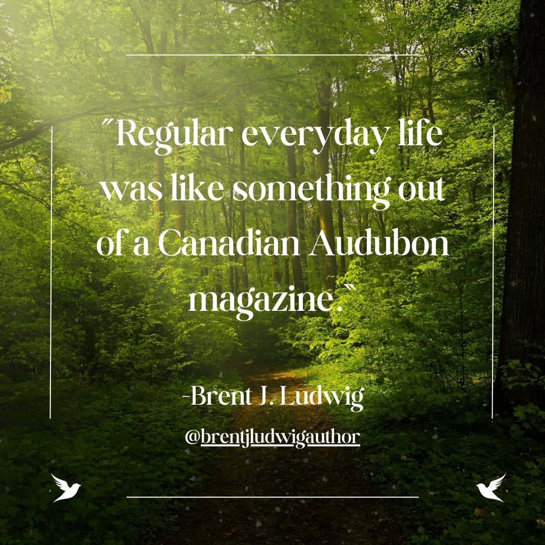 “Regular everyday life was like something out of a Canadian Audubon magazine.”
~ Brent J. Ludwig

#BrentJLudwig #NatureLovers #AuthorLife #InspiringStories #AuthorInspiration
