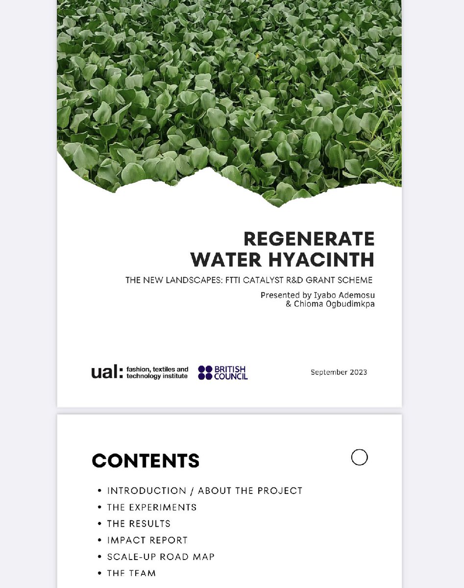 Chioma Ogbudimkpa tweet media