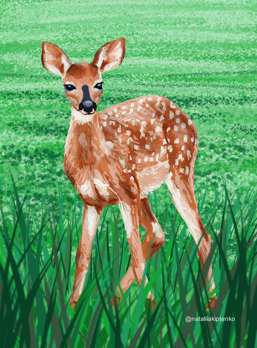 #SciArtober! Day 22 - 'Juvenile'.
@GNSIorg

#SciArtober #juvenile #inktober #inktober2023 #scientificillustration #sciart #natureillustration #2dart #digitalart #conceptart #painting #illustration #illustrator #scientificillustrator #deer #animal #cute